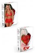 rotes Set aus Spitze 4414 von Provocative Dessous